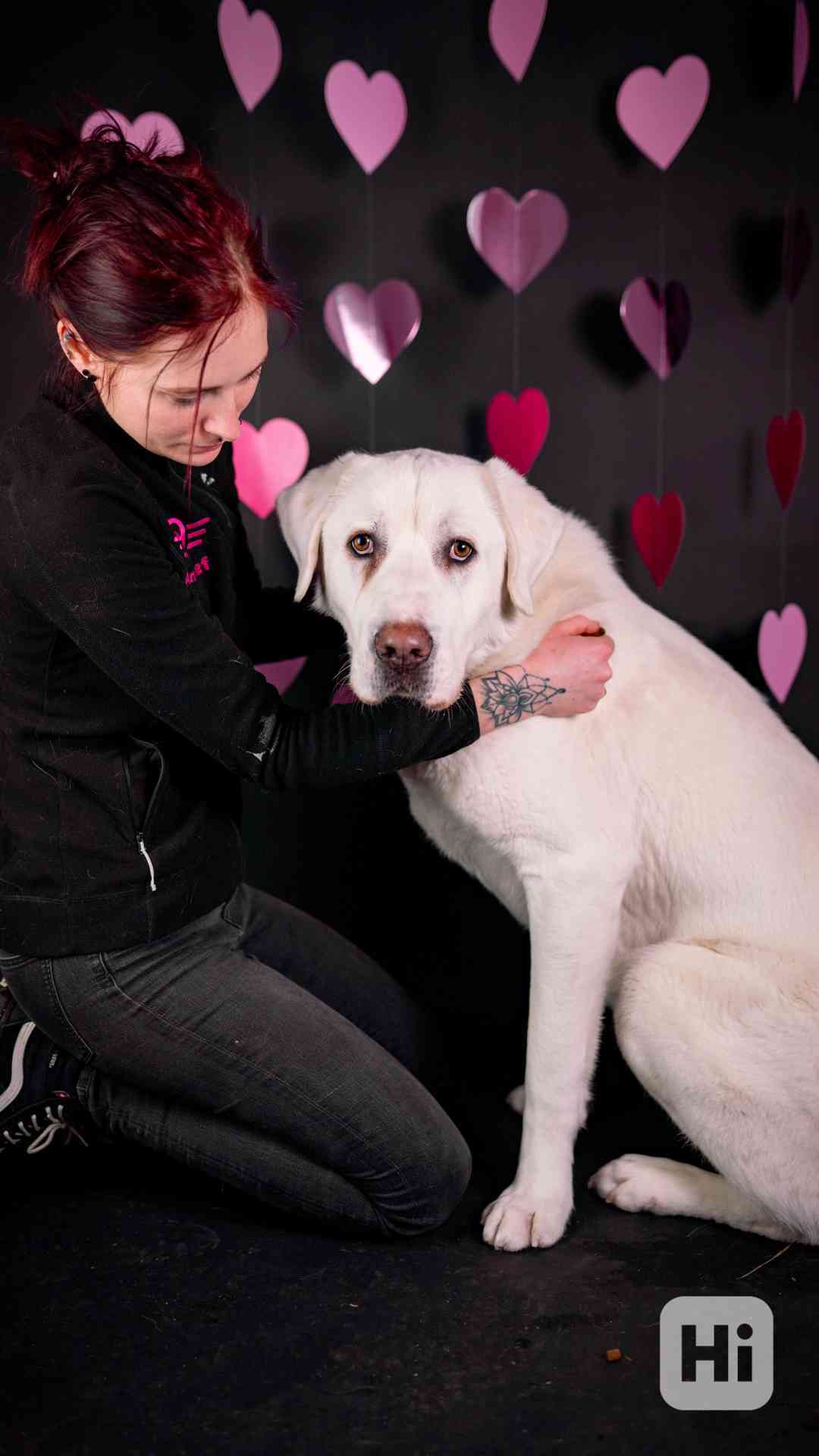 Theo - něžný ale temperamentní kluk, 2 roky - foto 1