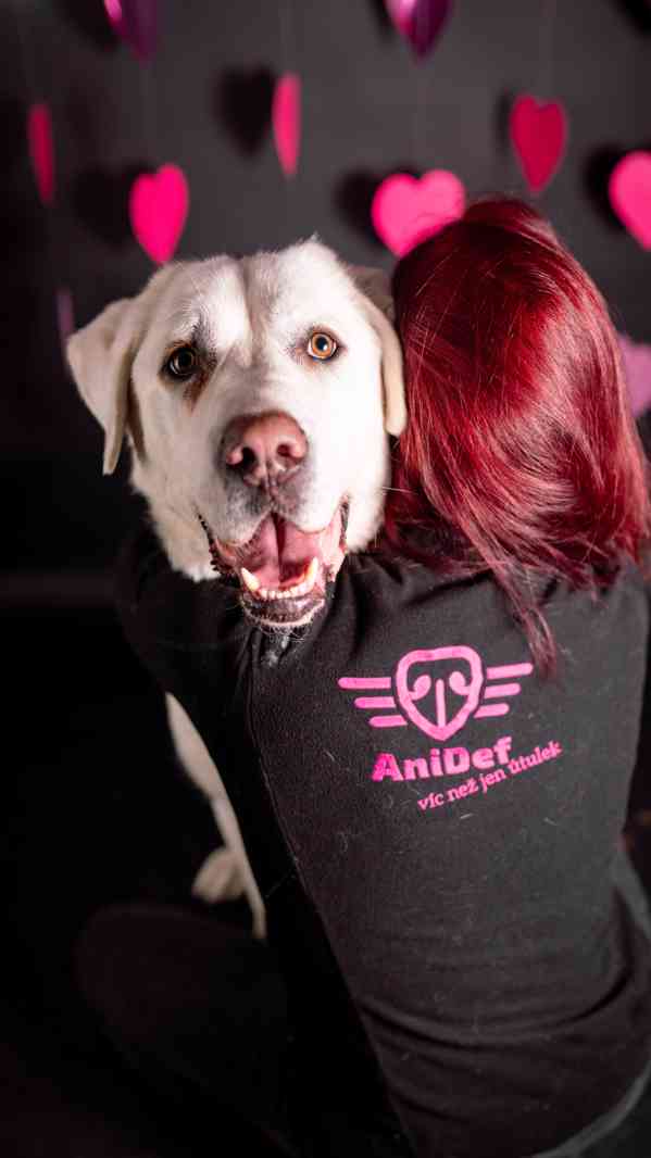 Theo - něžný ale temperamentní kluk, 2 roky - foto 6