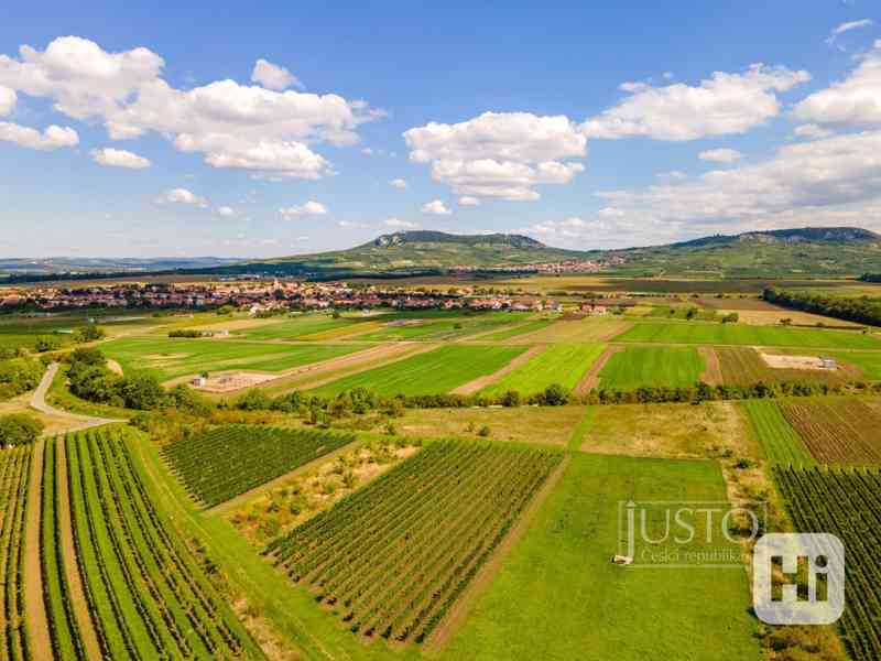 Prodej vinice, 3 004 m², Dolní Dunajovice - foto 8
