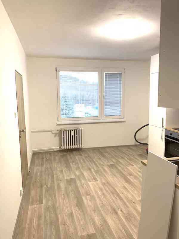 Nabízím pronájem krásného bytu s dispozicí 1+1 v Děčíně - foto 2