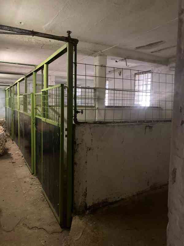 Mokré - Pronájem bytu 2+1 o ploše 100 m2 a stáje 130 m2 - foto 18