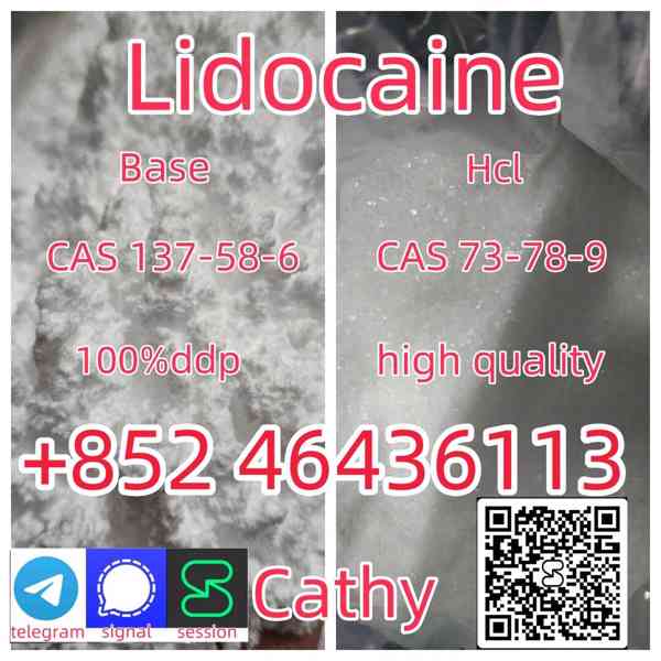 Hot Sales Lidocaine CAS 137-58-6 99% Lidocaine    - foto 3