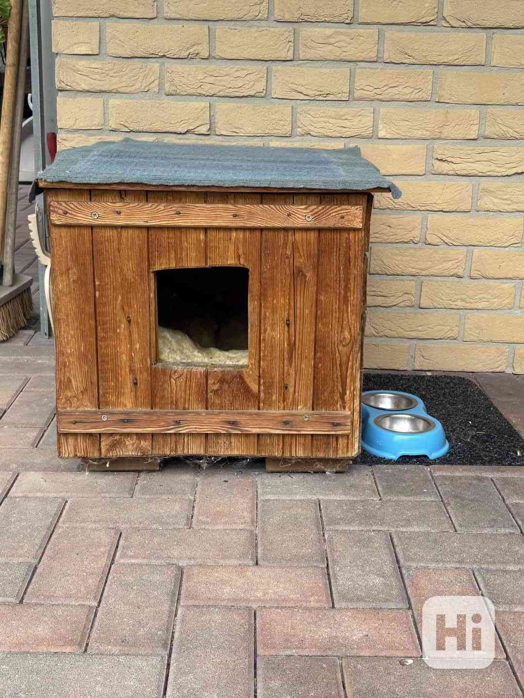 boudička pro kočku - foto 1