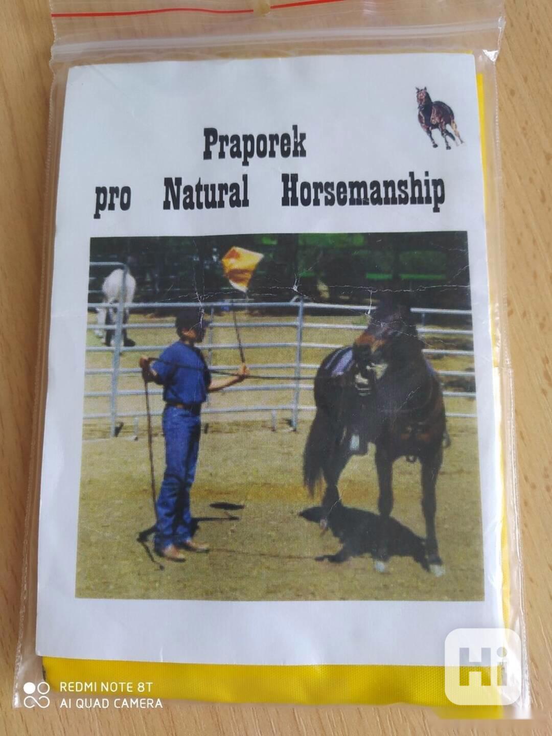 Praporek pro výcvik koně - foto 1