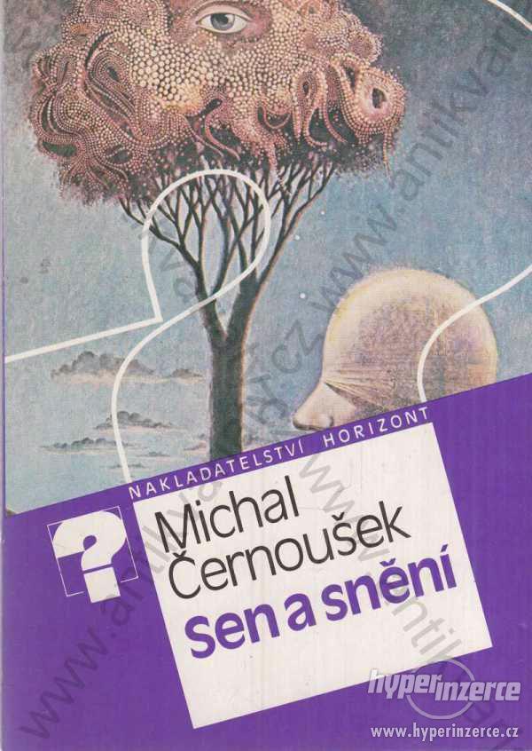 Sen a snění Michal Černoušek 1988 - foto 1