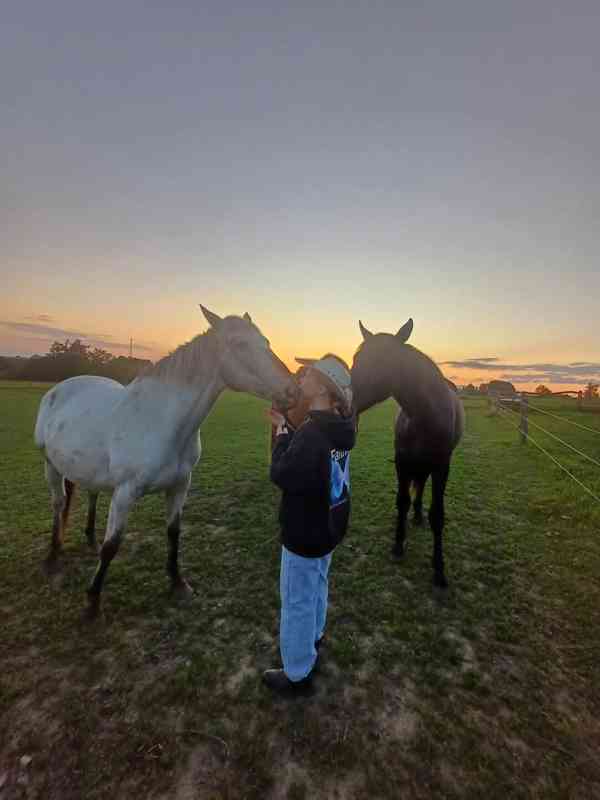 Prodám 10-letou kobylku ApHC/ČT - foto 5
