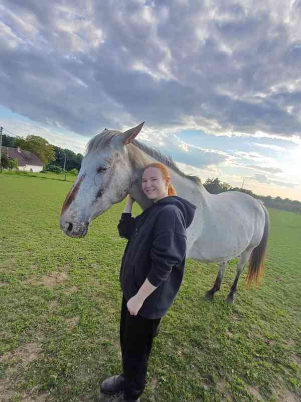 Prodám 10-letou kobylku ApHC/ČT - foto 4