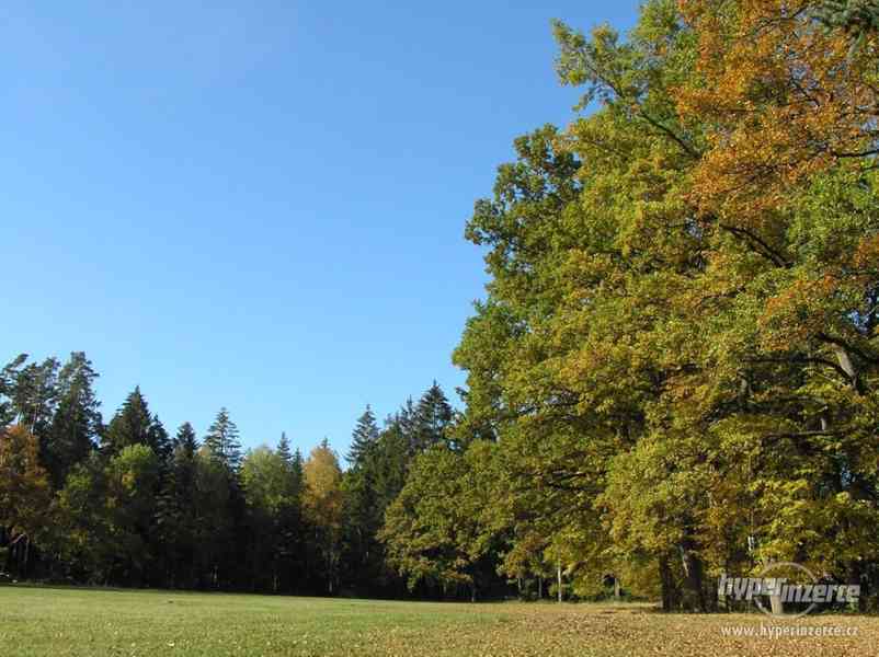 Třeboňsko - krátkodobý i dlouhodobý pronájem chaty - foto 13