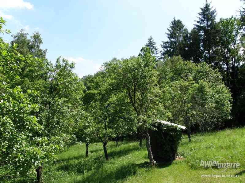 Třeboňsko - krátkodobý i dlouhodobý pronájem chaty - foto 16