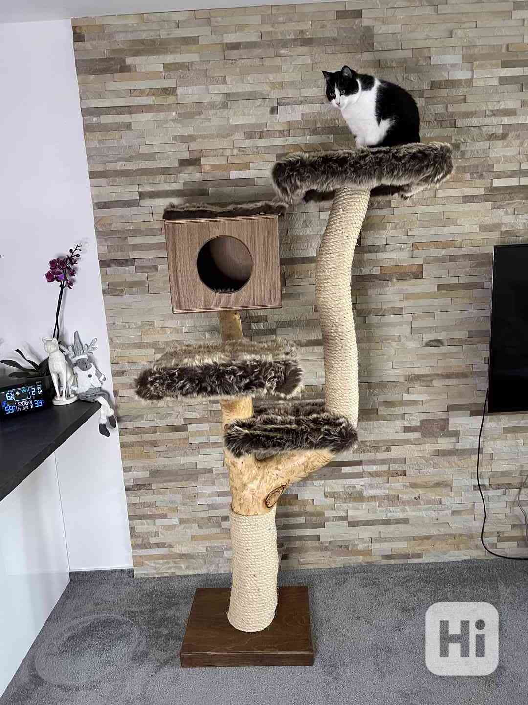 Kočičí strom s boudičkou  - foto 1