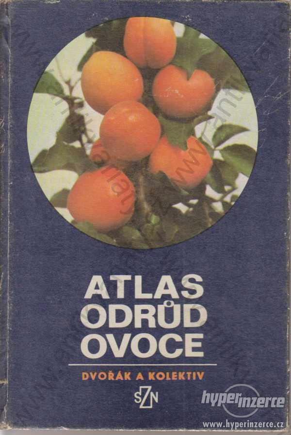 Atlas odrůd ovoce Dvořák a kol. SZN, Praha 1978 - foto 1