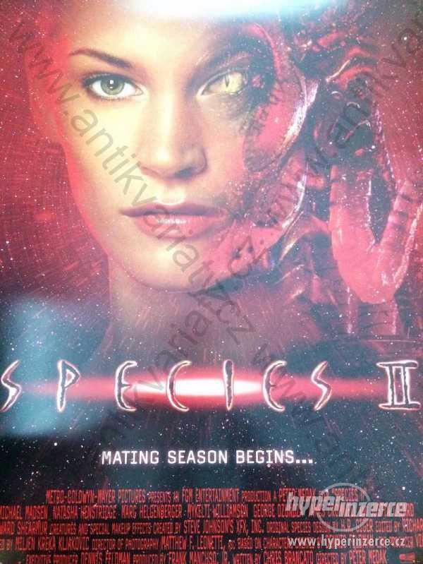 Species II film plakát 101x68cm Michael Madsen - foto 1