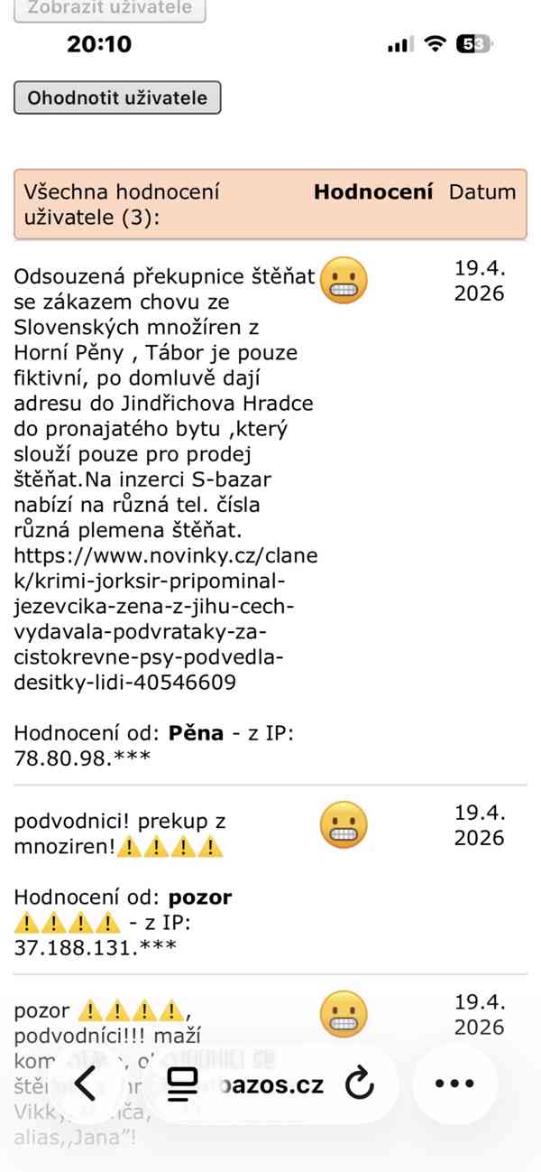 jezevčík hladkosrstý  - foto 3