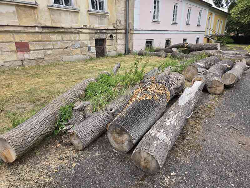 Přesílená kulatina / palivové dřevo - foto 3