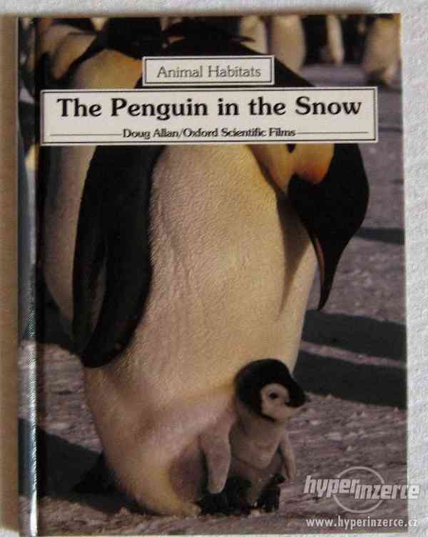 The Penguin  the Snow - foto 1