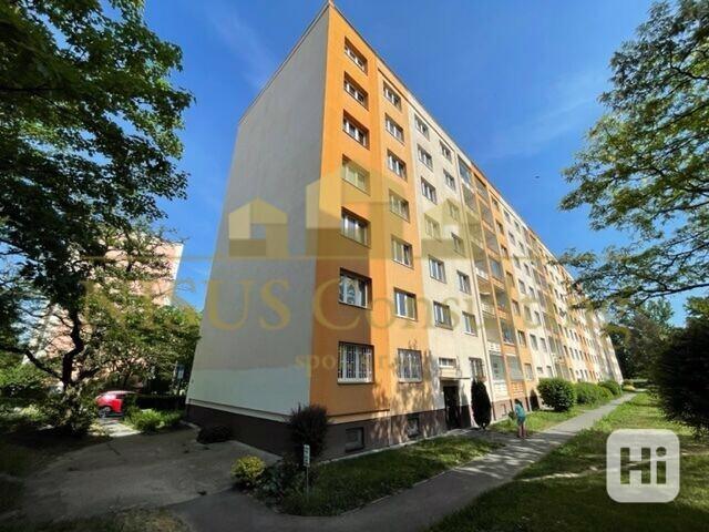 Prodej bytu 2+1, 55 m2, Tuchorazská ulice, Praha 10 - Malešice - foto 29