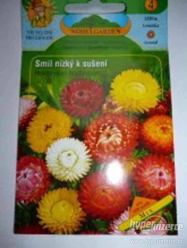 Smil nízký-Mix /400 semen: www.levna-semena.cz - foto 1