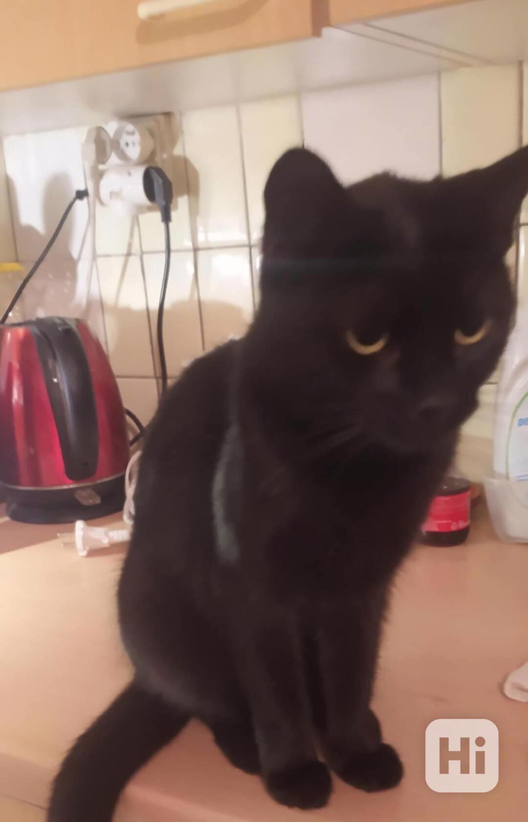 Najde se zachránce? - foto 1