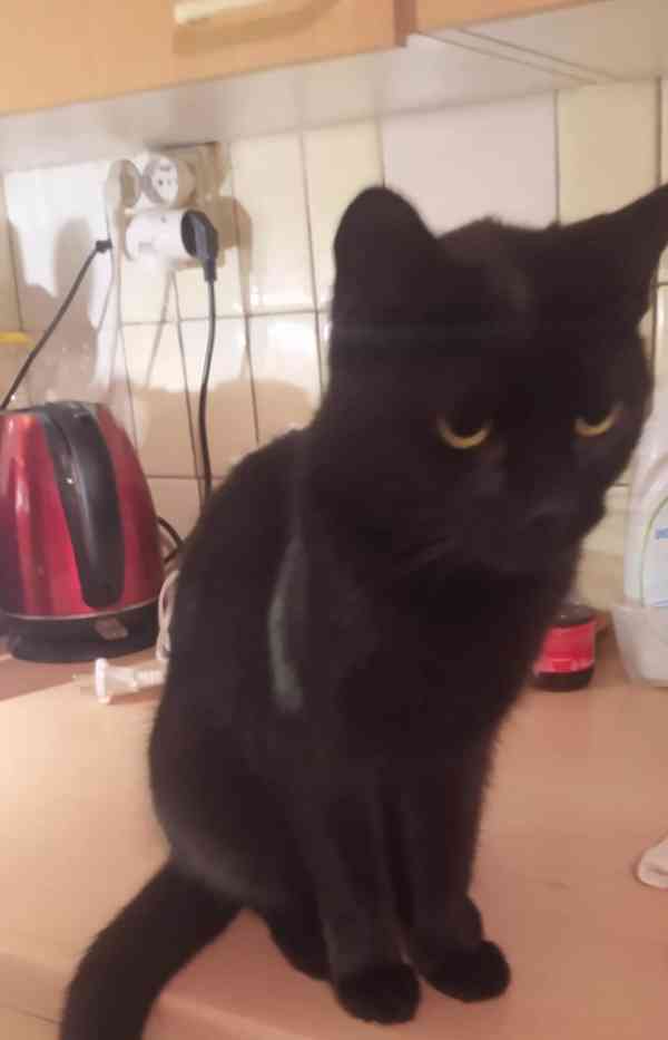 Najde se zachránce? - foto 1