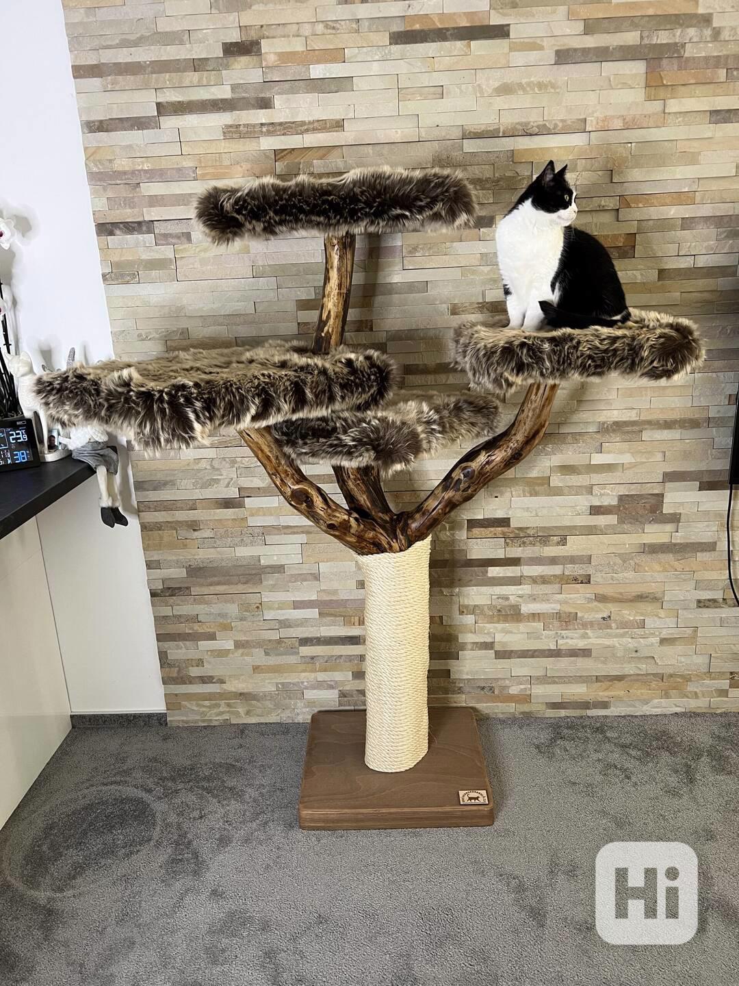 Kočičí strom ze dřeva - foto 1