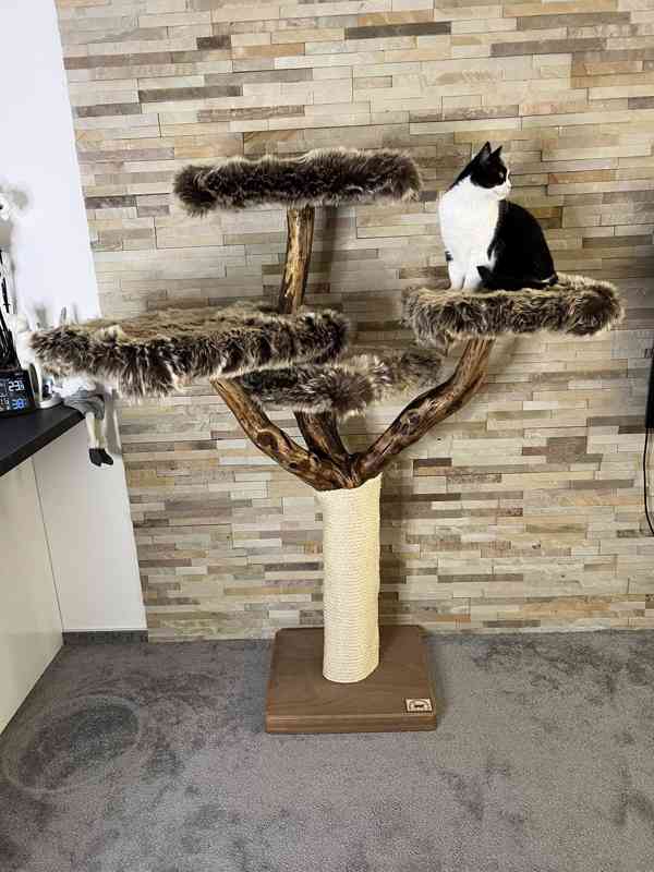 Kočičí strom ze dřeva - foto 1
