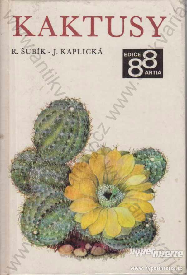 Kaktusy -  R. Šubík  1969 - foto 1