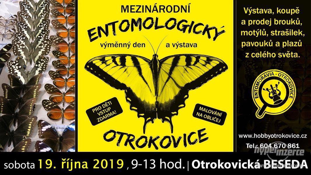 Entomologická výstava, OTROKOVICE, 19.10.2019 - foto 2