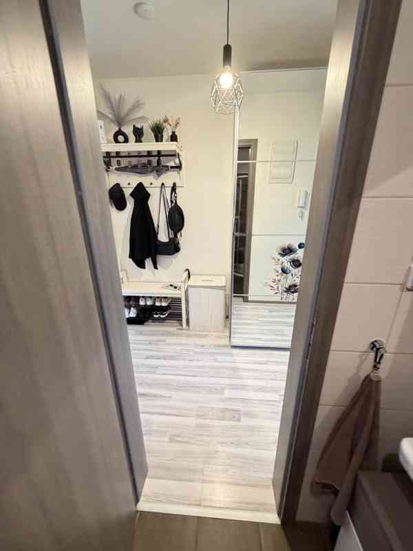PRONÁJEM NOVOSTAVBY BYTU 1+KK S BALKÓNEM V RAJHRADĚ U BRNA - foto 33