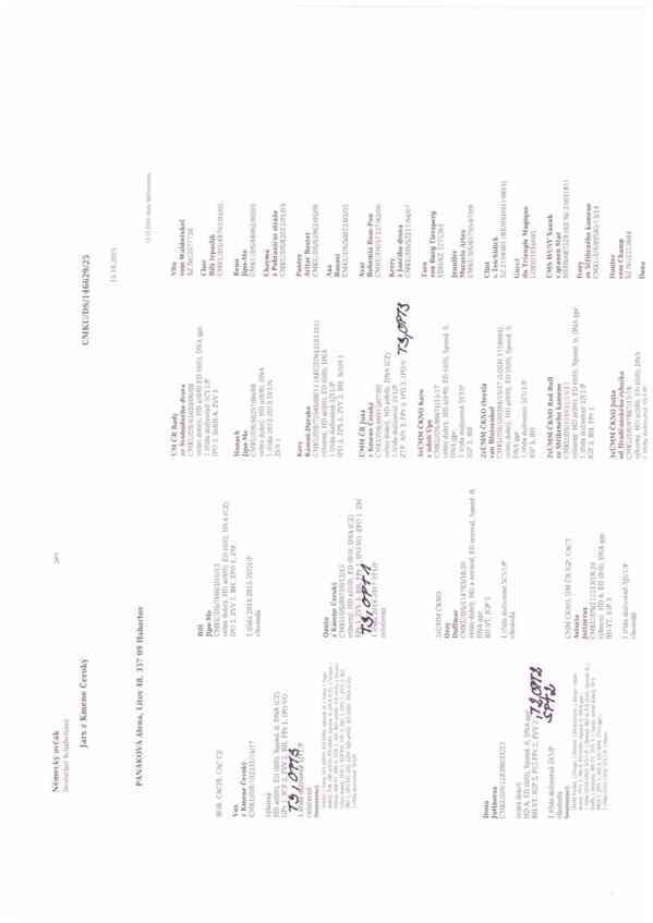 Štěně něm.ovčáka s PP - foto 3