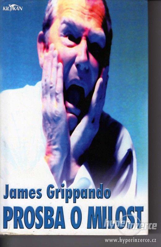 Prosba o milost  James Grippando 1.vydání - 2000