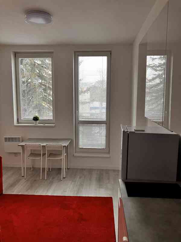 pronájem garsonky Sázava, 20m, 8000 + 2200 poplatky - foto 3