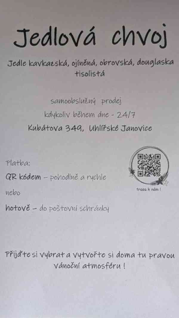 Jedlová chvoj - samoobslužný prodej - foto 4