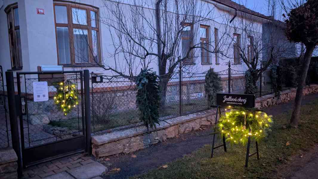 Jedlová chvoj - samoobslužný prodej - foto 5