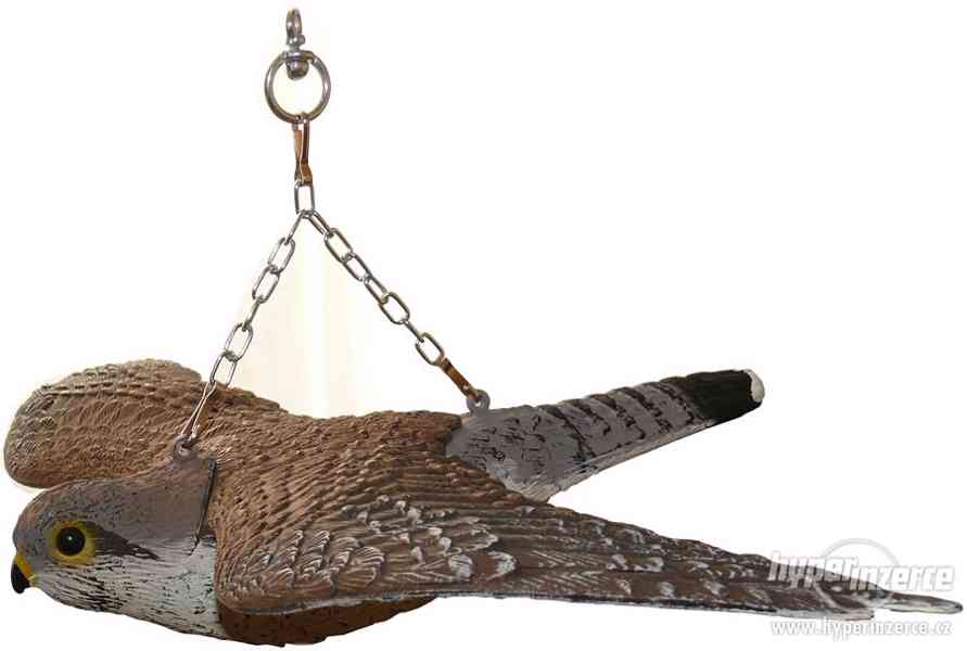 Plašič ptáků 3D maketa dravce - poštolka 56 cm - foto 1