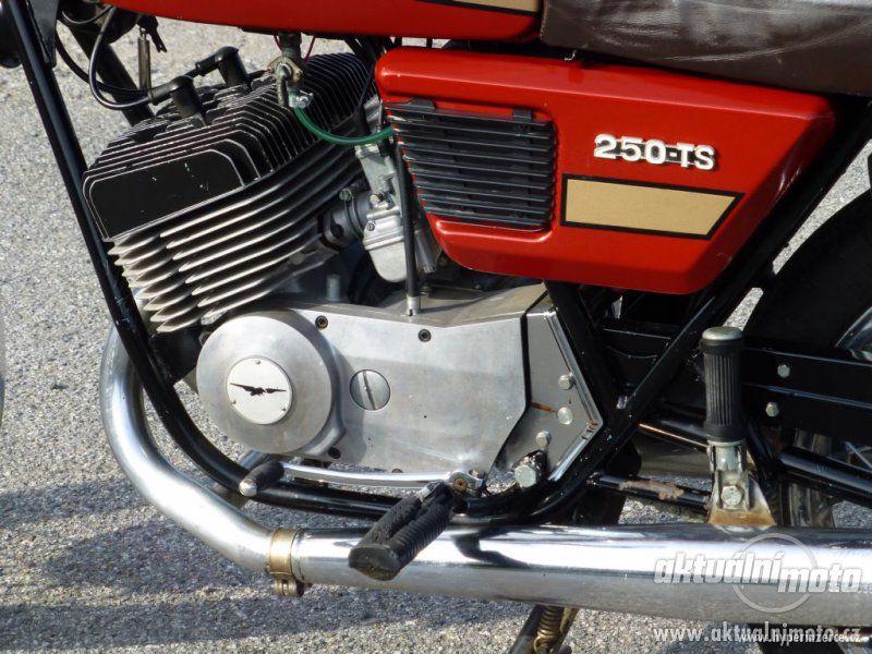 Moto Guzzi TS 250 - foto 4