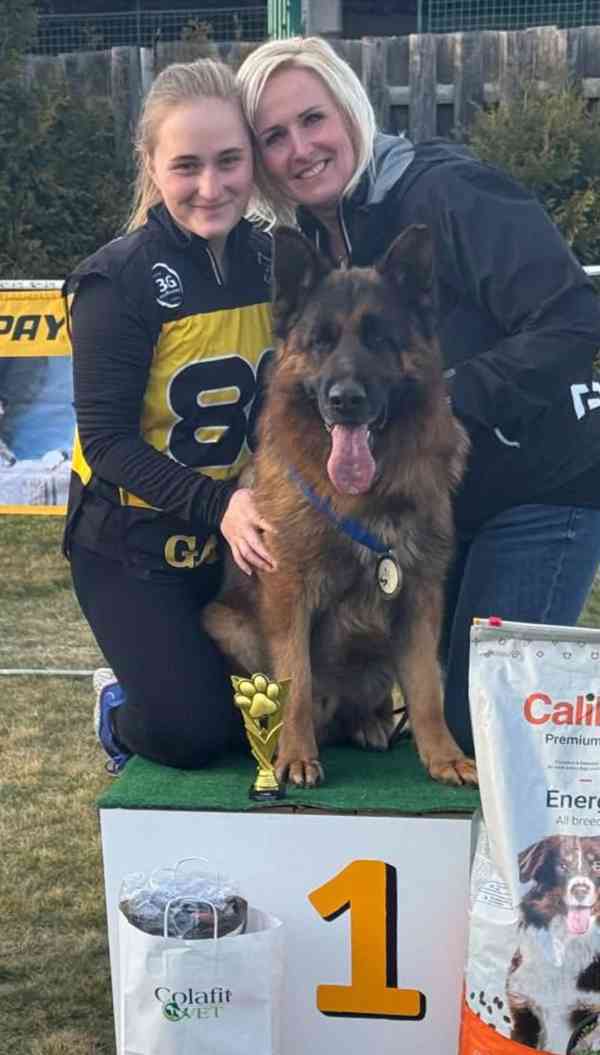 Německý ovčák- štěňata - foto 14