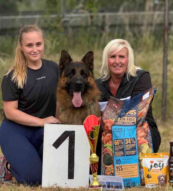 Německý ovčák- štěňata - foto 15