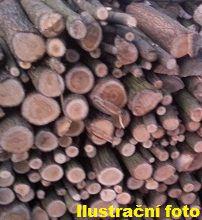 Prodej NEJLEVNĚJŠÍHO A NEJVÝHODNĚJŠÍHO palivového dřeva - foto 5