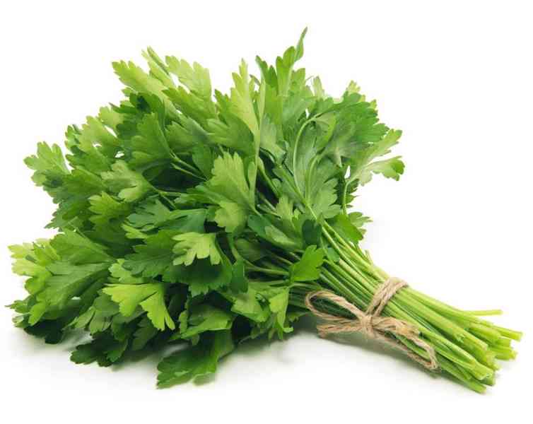 Petržel naťová Natalka - semena