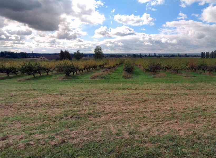 Prodej zemědělské půdy - 10 366 m² - Horušice (Kutná Hora) - foto 2