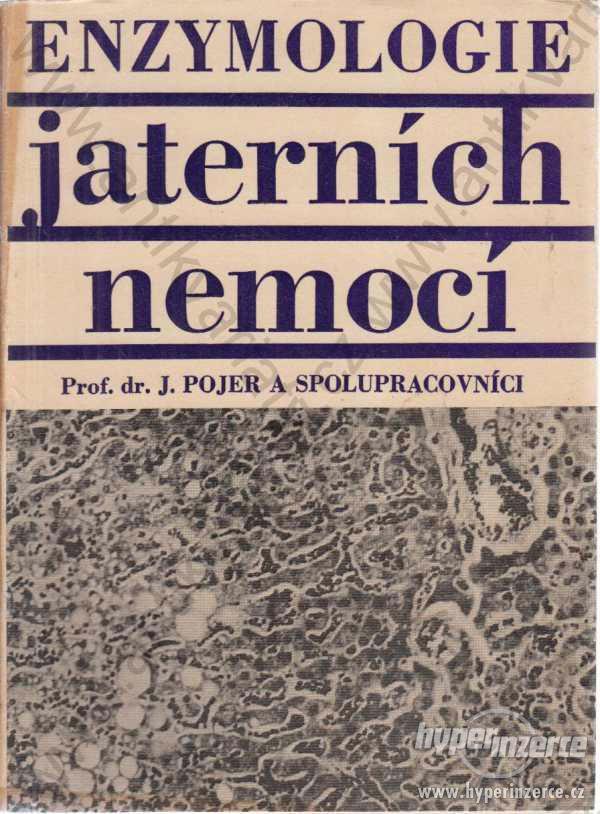 Enzymologie jaterních nemocí J. Pojer 1965 - foto 1