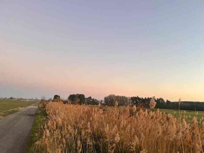 Nová Ponuka, 45 172 m² pri Levároch - foto 9