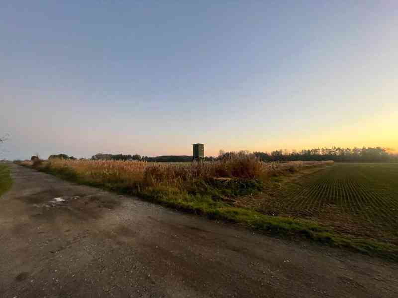 Nová Ponuka, 45 172 m² pri Levároch - foto 7