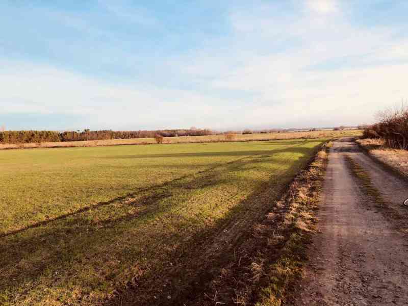 Nová Ponuka, 45 172 m² pri Levároch - foto 4