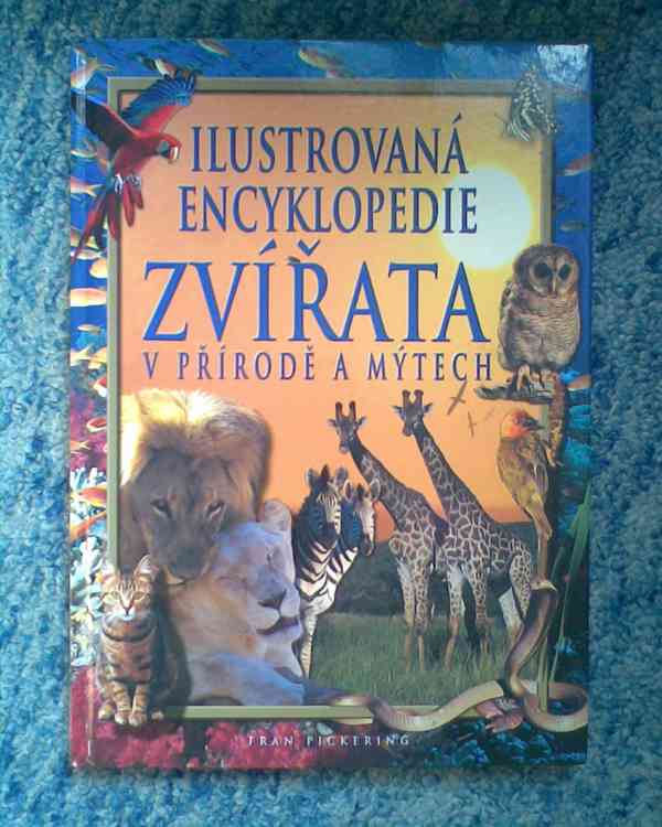 Různé hračky pro chlapečka - foto 10