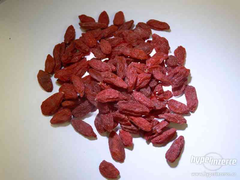 Goji - Kustovnice čínská - foto 1
