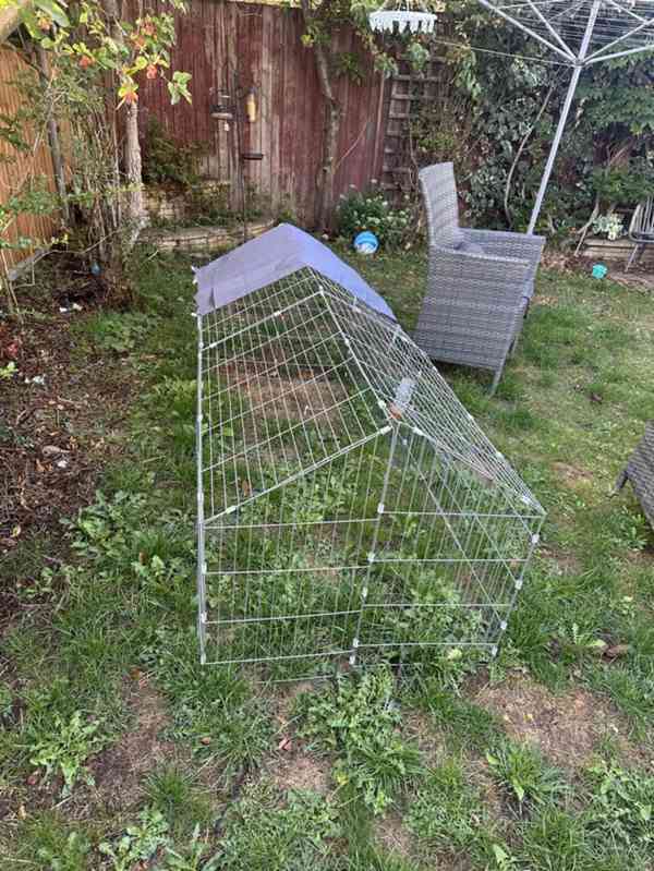 11měsíční samice králíka plemene Mini Rex s kotcem a výběhem - foto 2