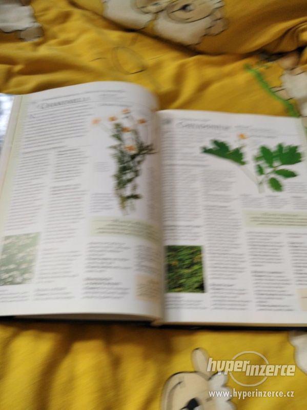 Encyklopedie homeopatie - Andrew Lockie - foto 3