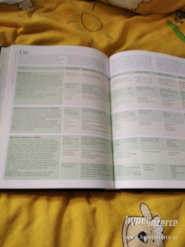 Encyklopedie homeopatie - Andrew Lockie - foto 4