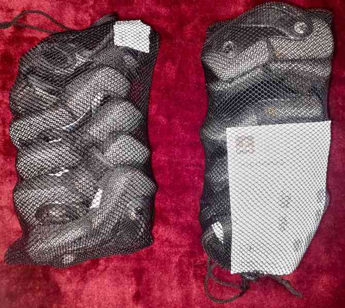 Chrániče dětské na kolečkové brusle - foto 4